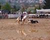 Velké Radotínské rodeo, 4.5.2013