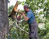 Bouřka a silný vítr polámal větve a stromy v Radotíně, od ranních hodin škody odklízí pracovníci místních technických služeb, 30.6.2021