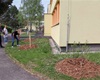 Předávání nových stromů a keřů z letošní jarní výsadby, 4.5.2022