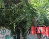 Kácení suchých stromů v Radotíně, 8.5.2020
