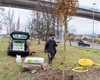 Sázení nových stromů - pod viaduktem, 19.11.2021