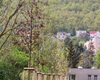 Předávání nových stromů a keřů z letošní jarní výsadby, 4.5.2022