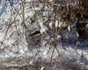 Zima v Radotíně